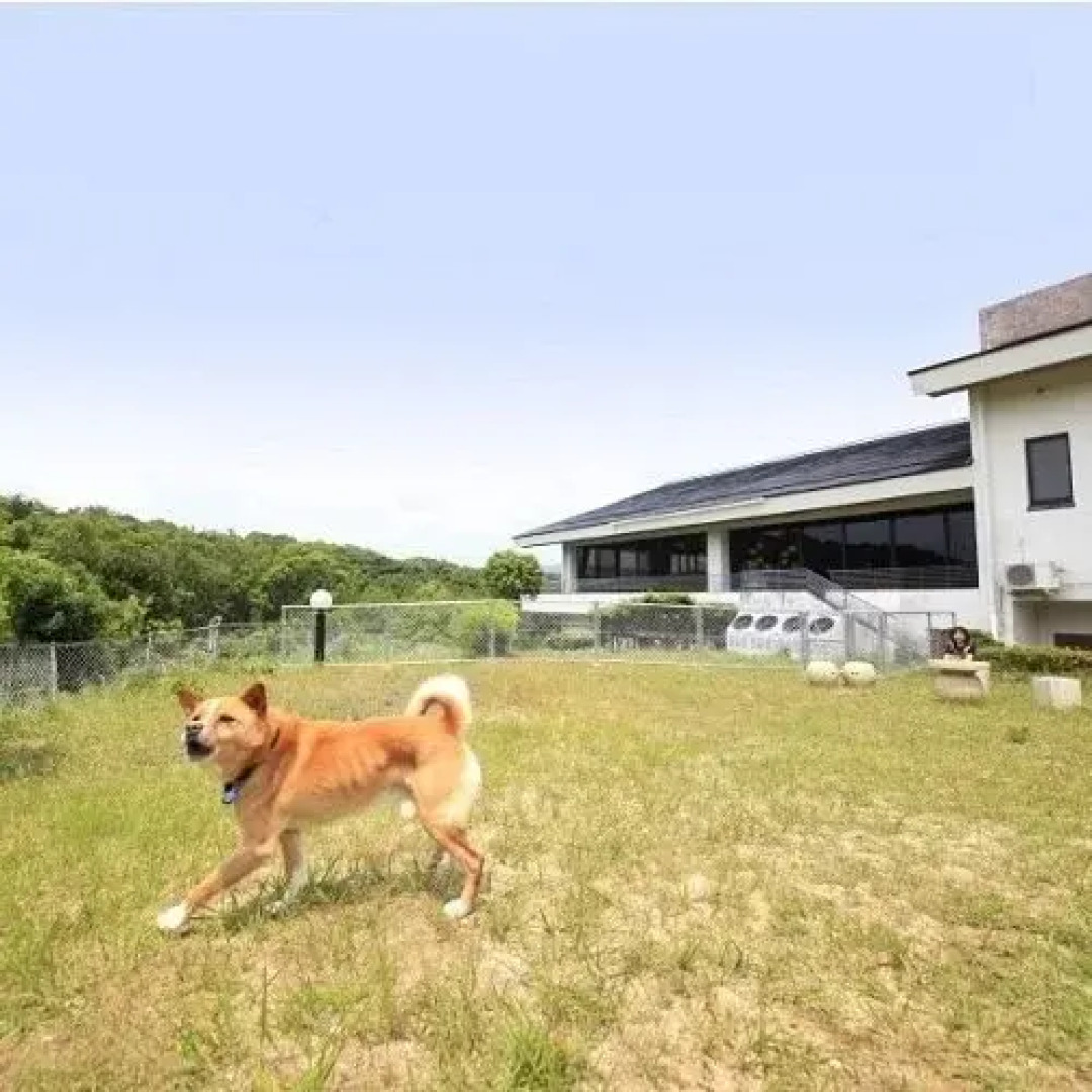 Kashikojima Pearl House