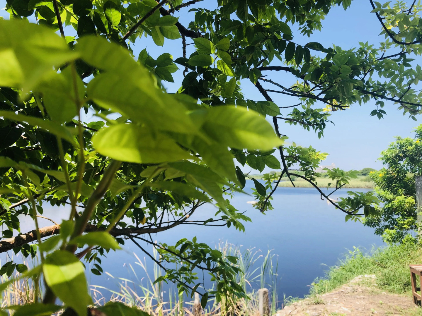 Casa Tumin Tecolutla House by Rotamundos