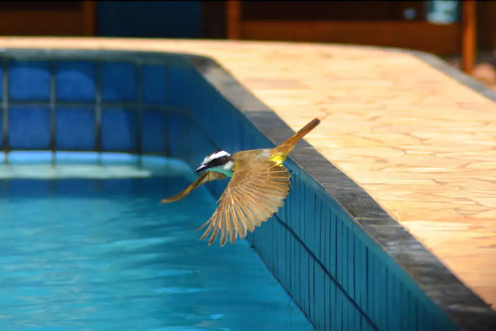 Pousada Arco Mundial