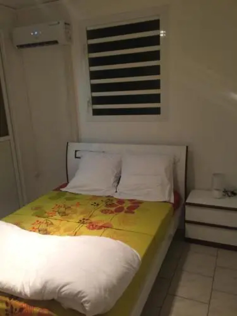 Tropic Arth Paradise