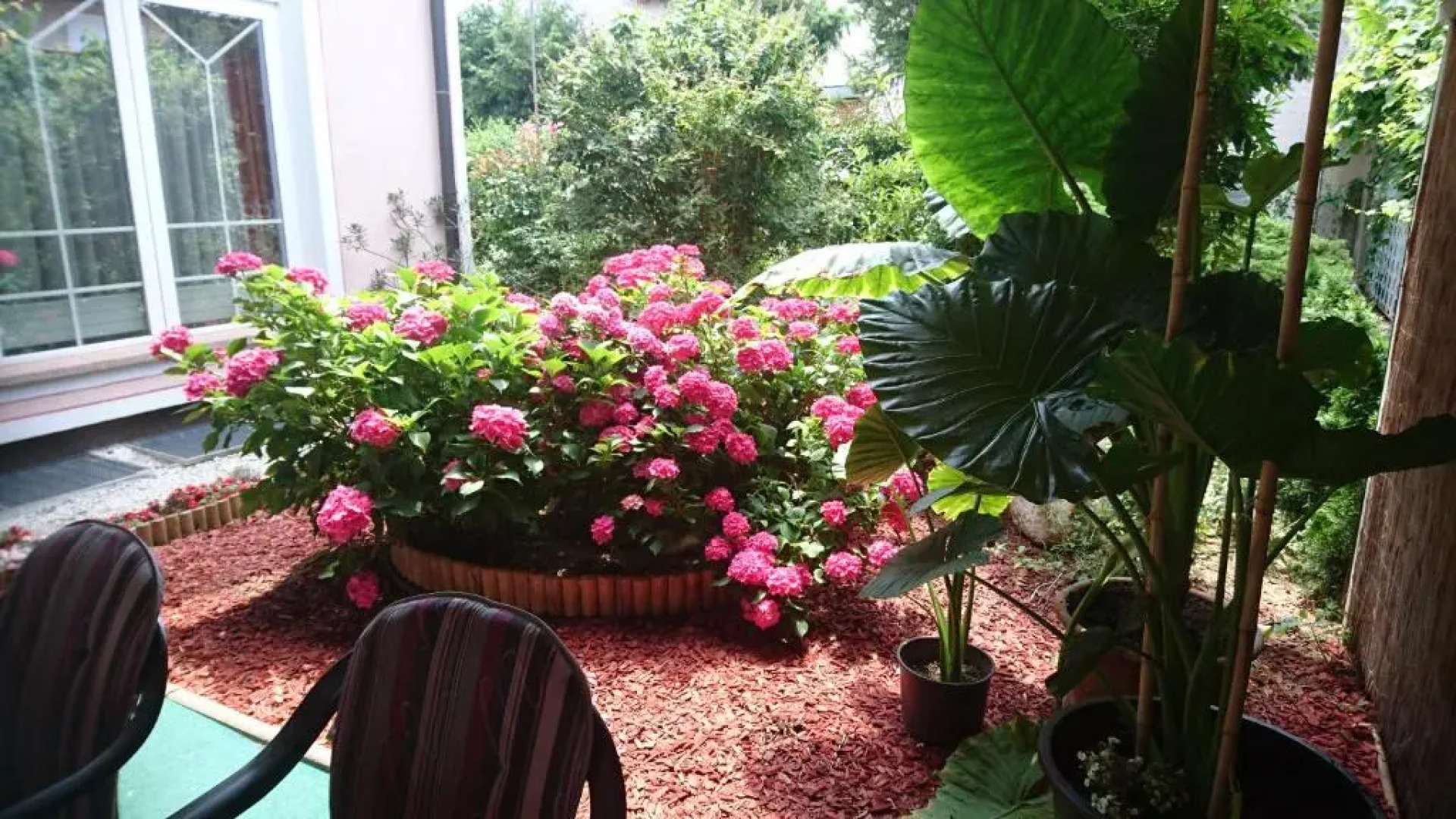 Bed & Breakfast Zeleni Kakadu