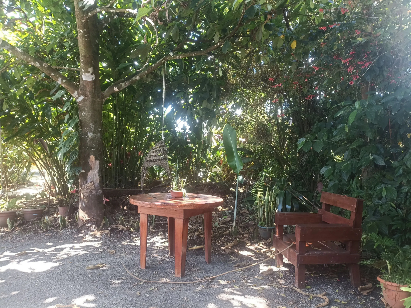 Apartamento Rio Celeste Dreams
