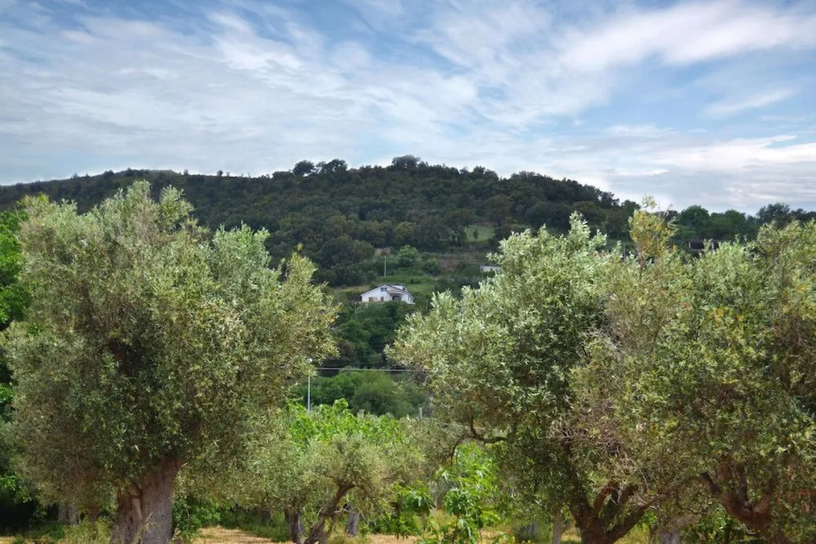 B&B Finestra sul Golfo