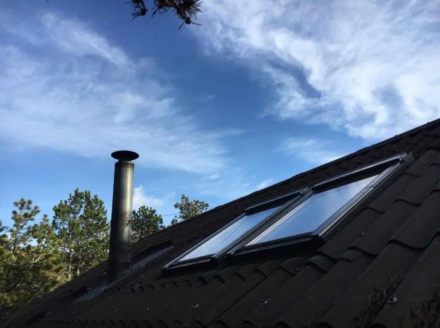 Enjoy The Nature And Quiteness Of Anholt