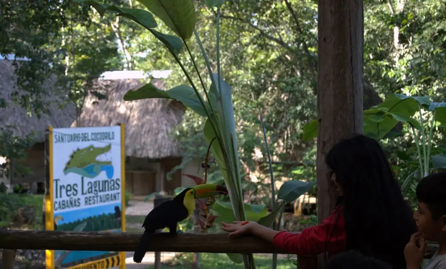 Santuario Zona Lacandona