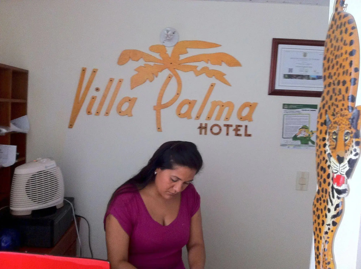 Hotel Villa Palma