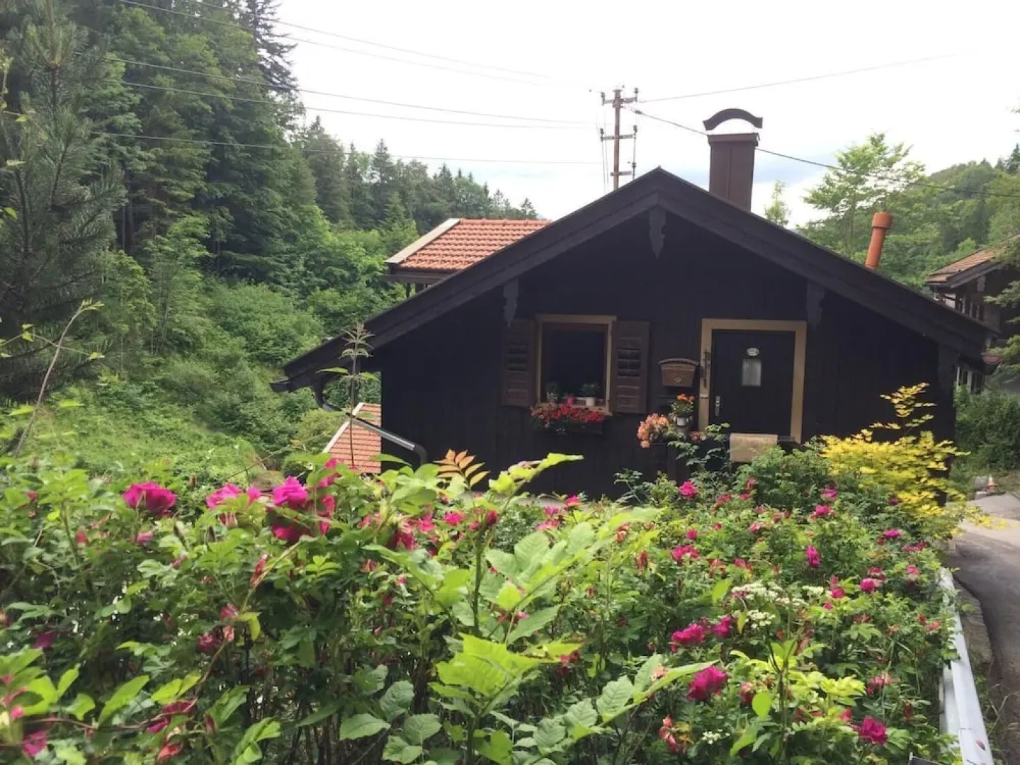 Wildromantisches Appartement am Bachlauf