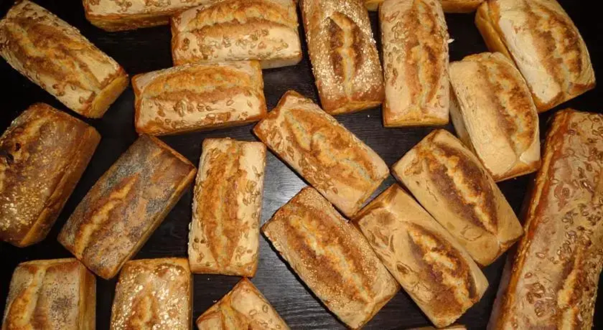 Dom gościnny Ptaszarnia