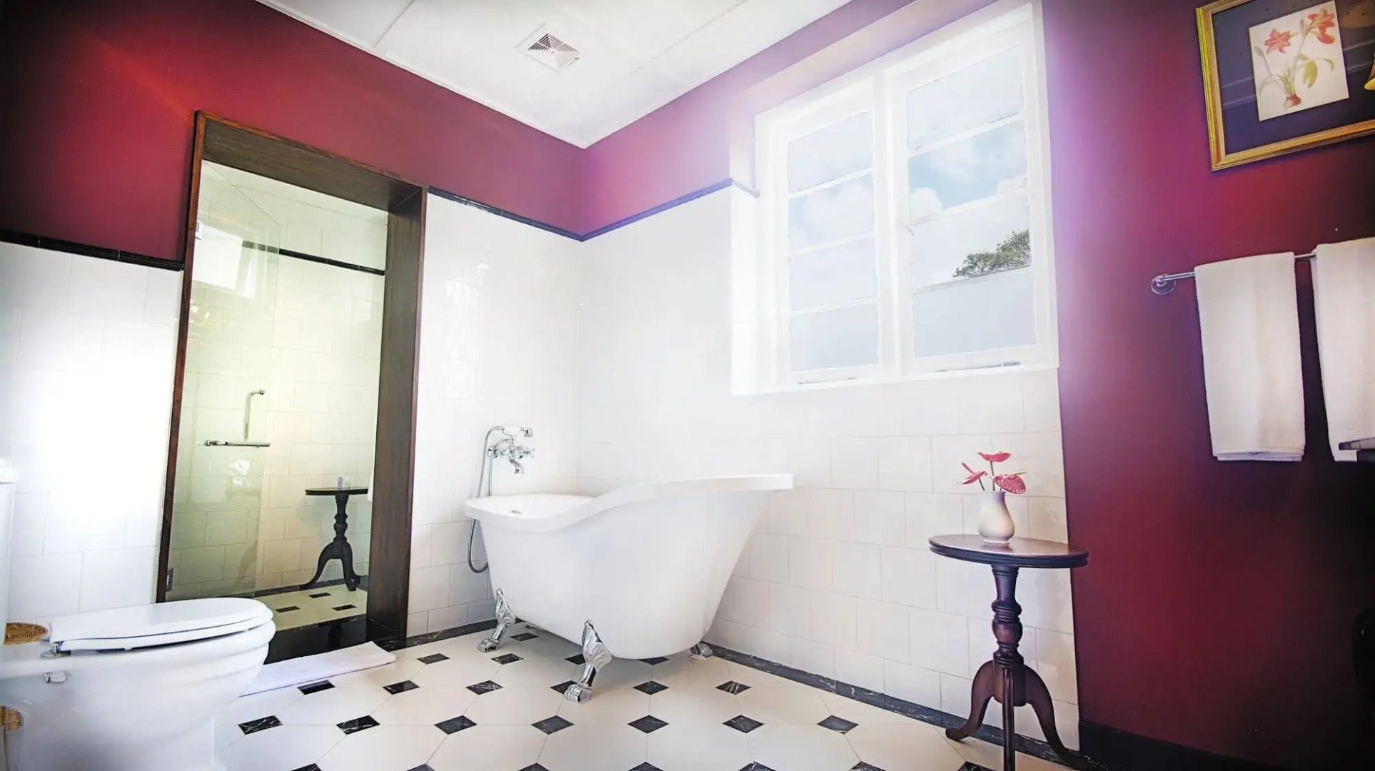 Dickoya by Zinc Journeys