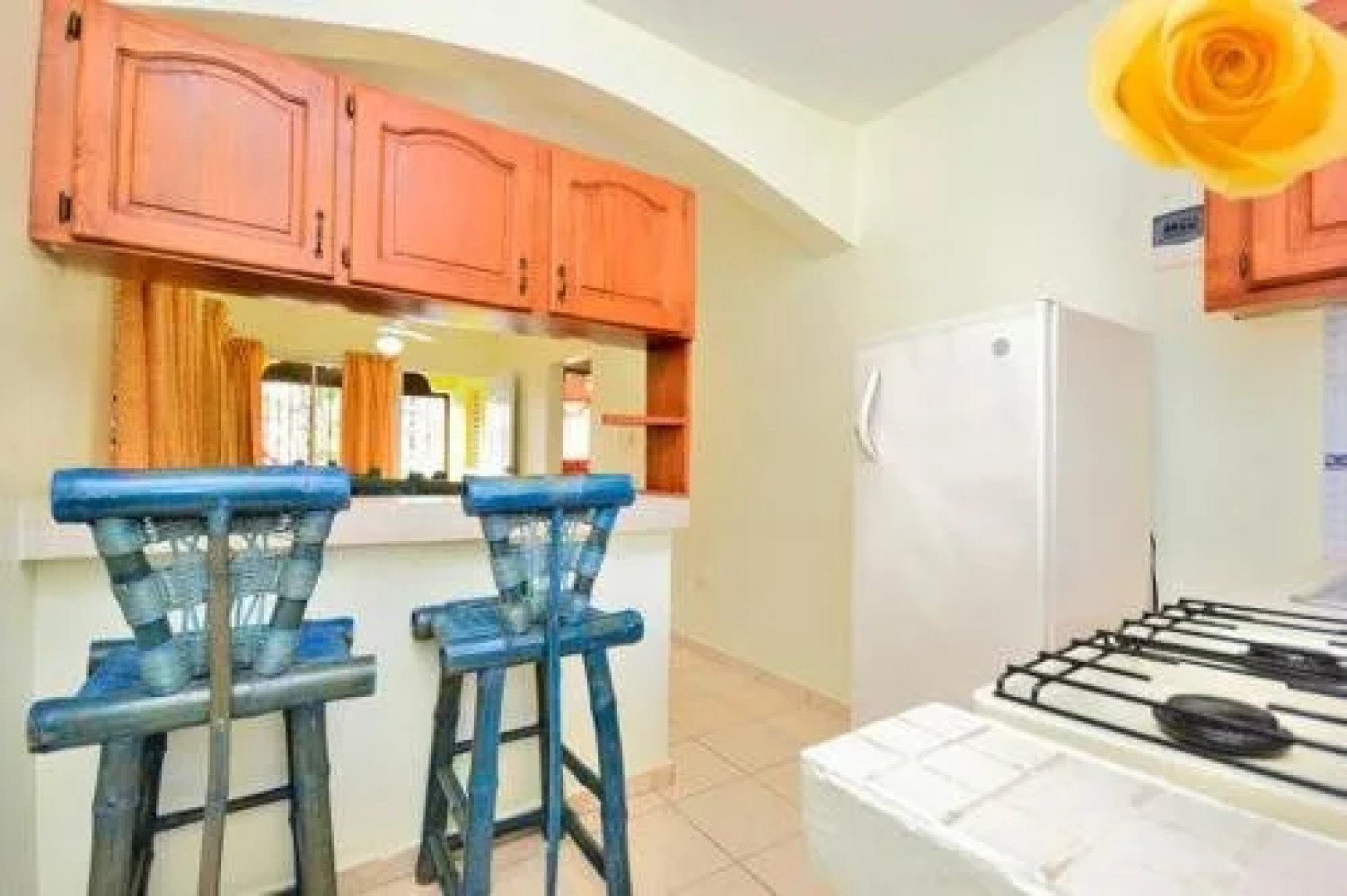 Aparta Hotel Las Flores