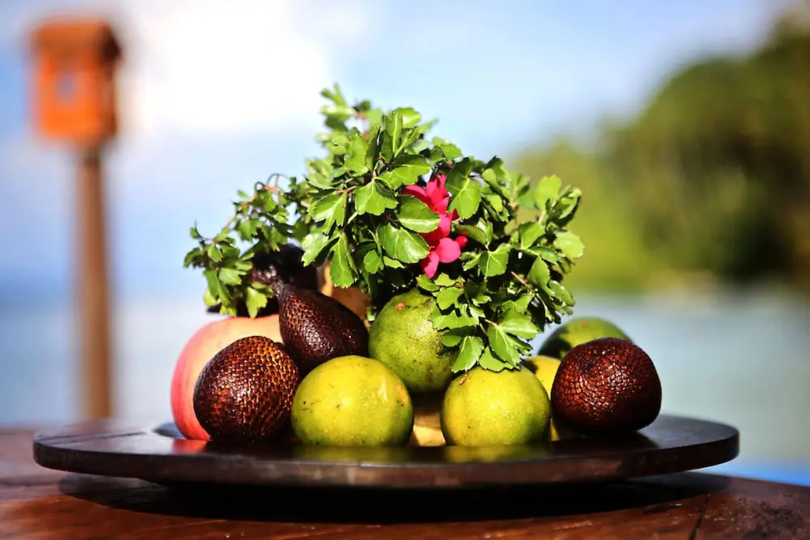 Raja Ampat Dive Lodge