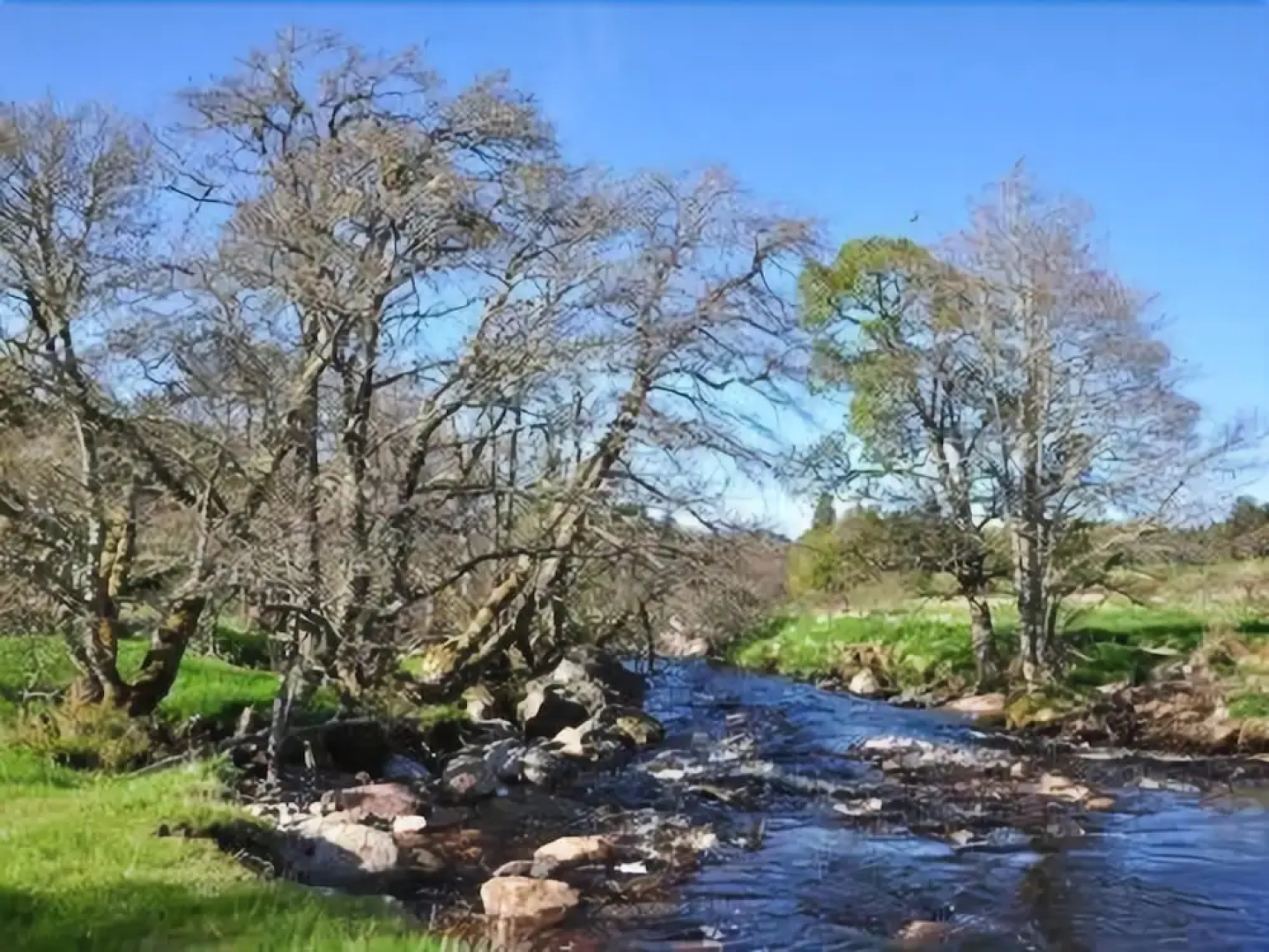 Glen Clova Hotel and Lodges