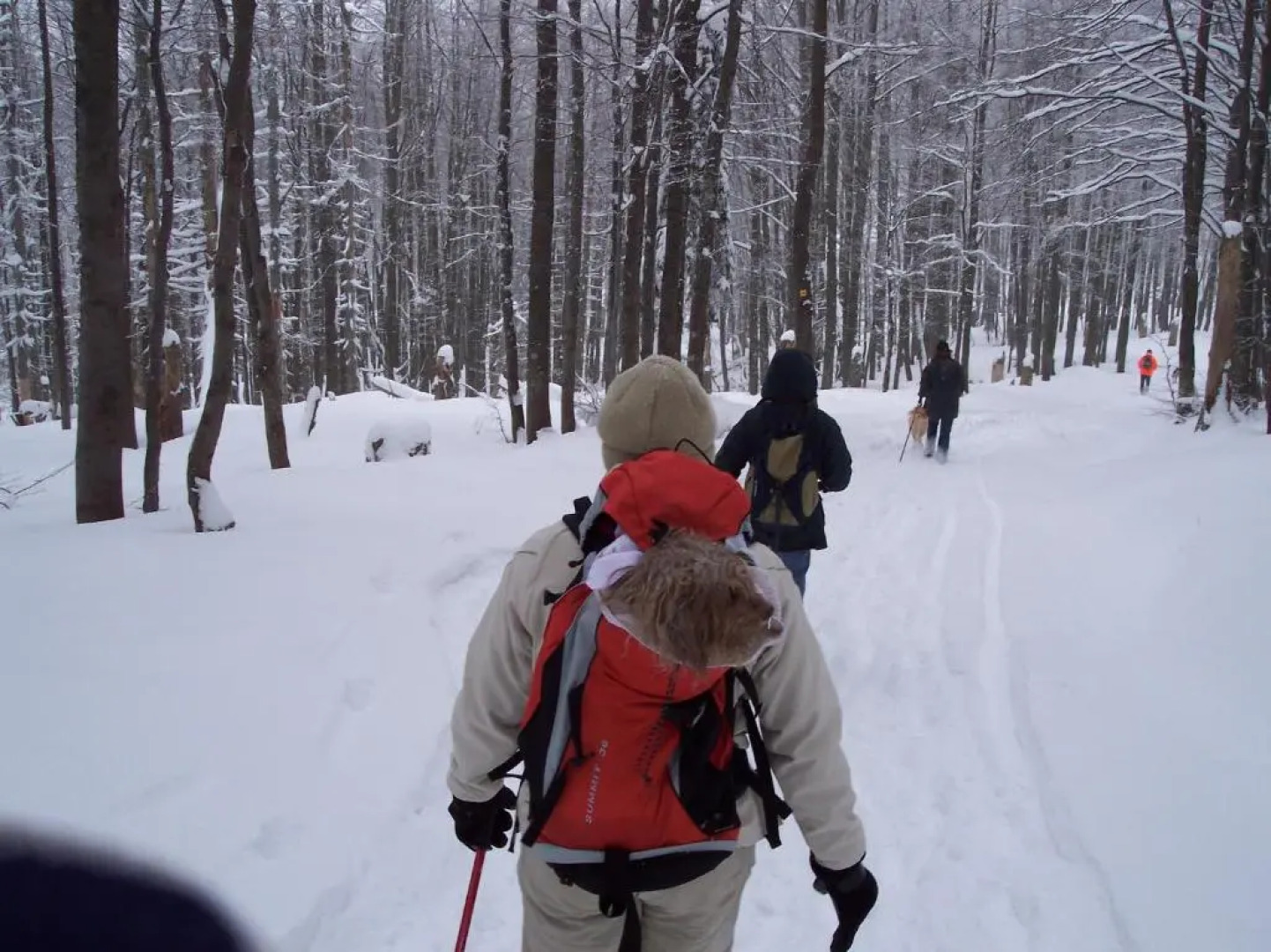 Ferienland Sonnenwald