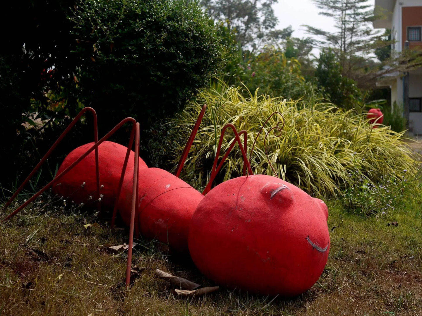 Baan Rai Mod Tua Toh