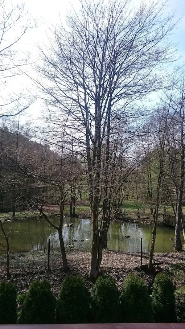 Ferienwohnung am Ententeich