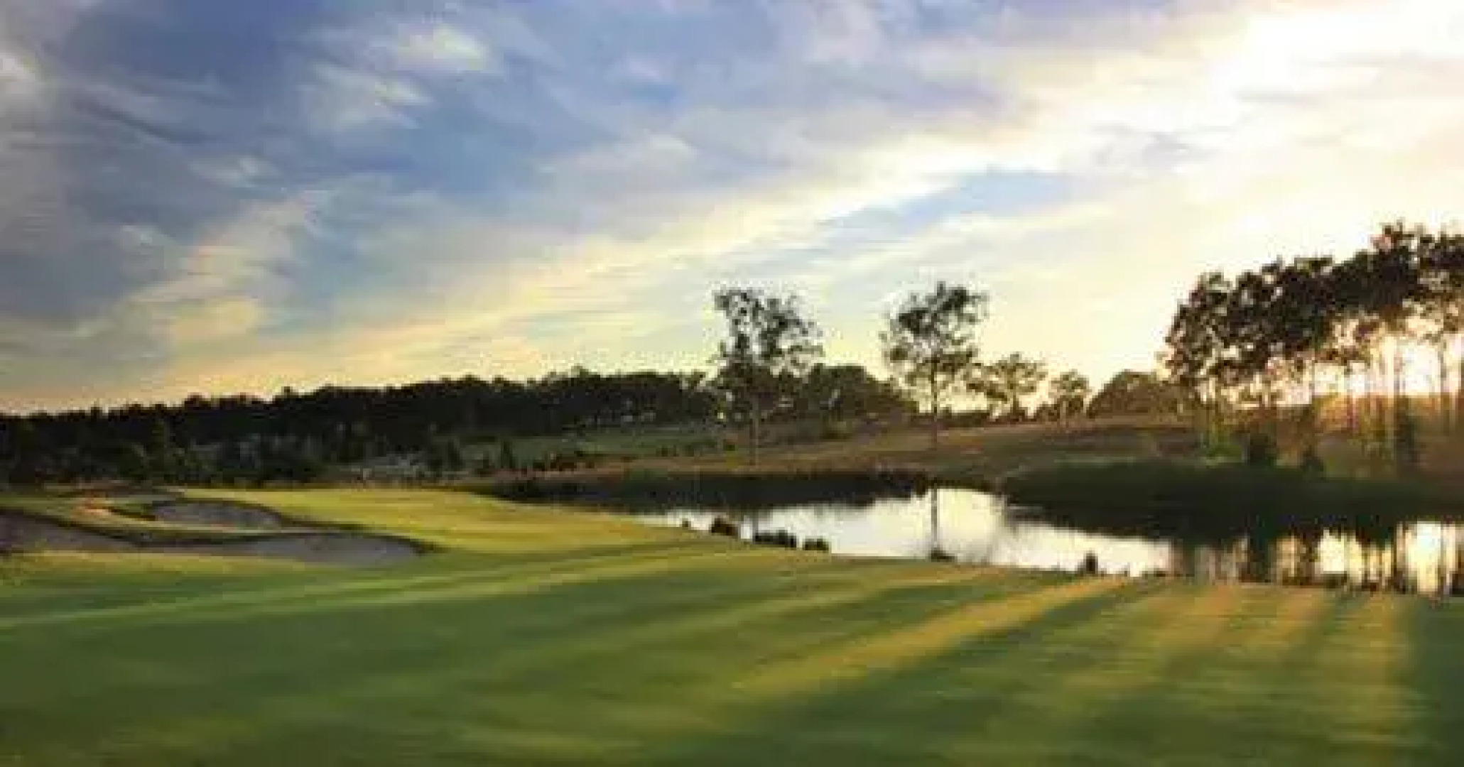 Peppertree at the Vintage