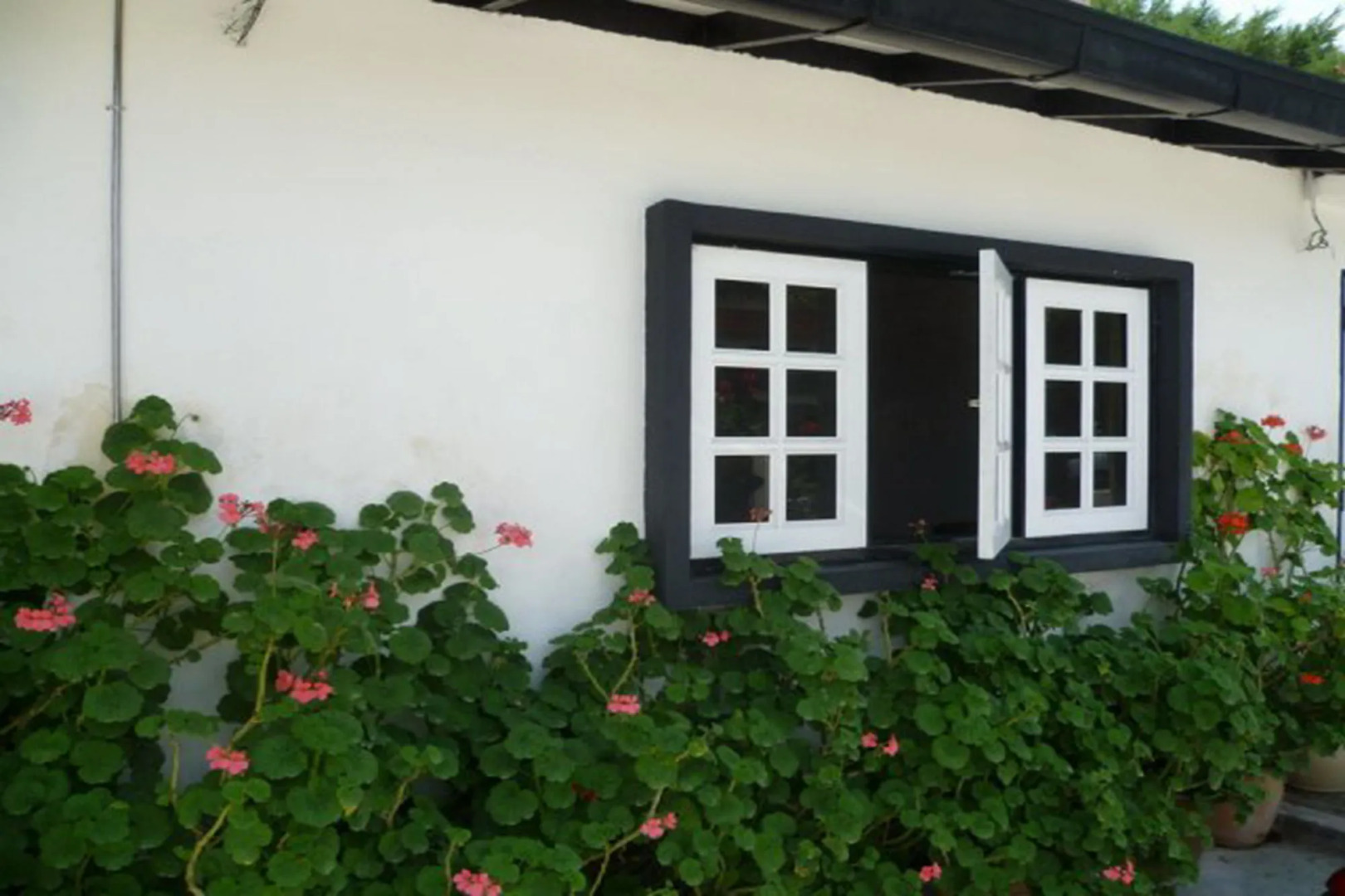 Country Lodge Resort