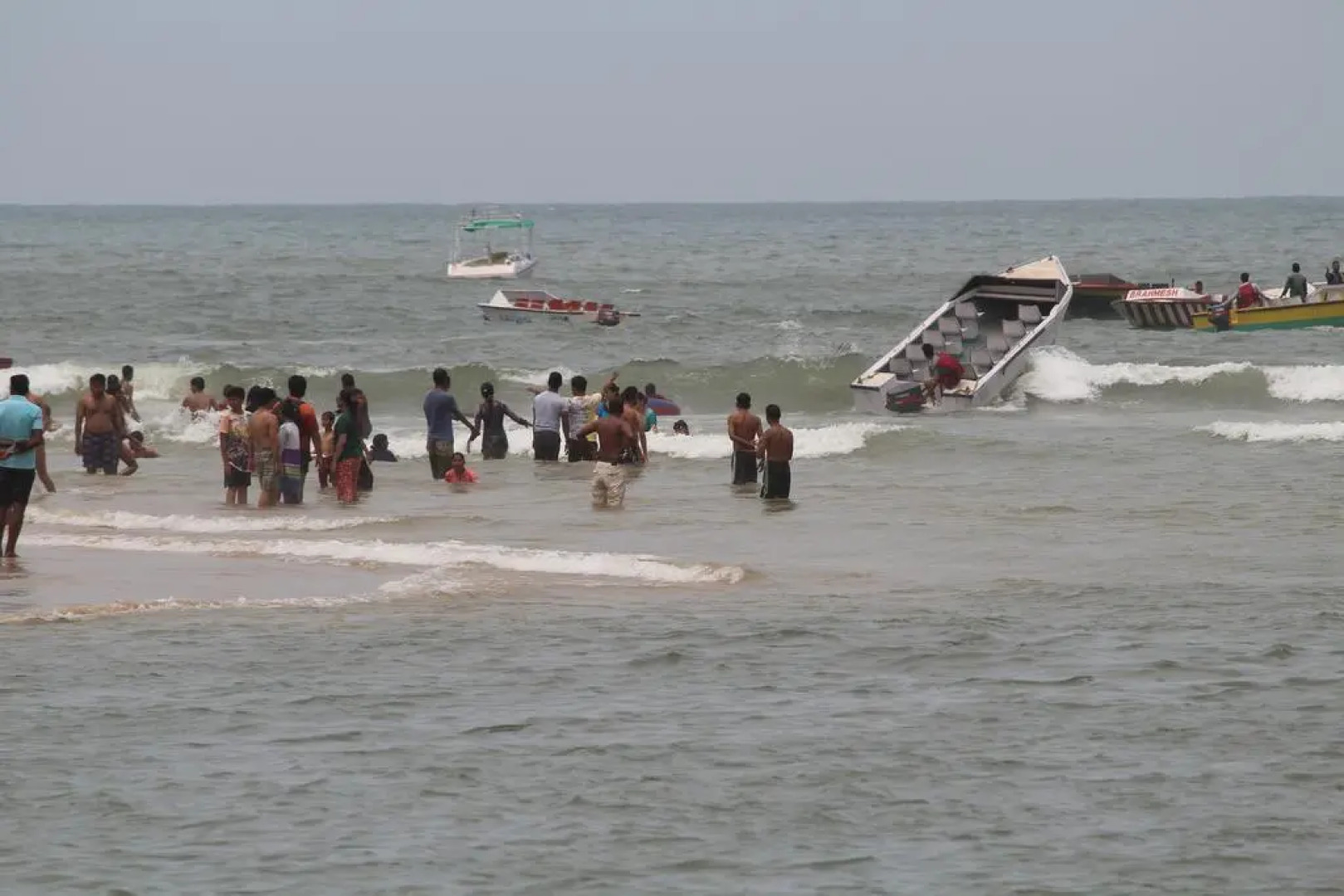 Macedo Palms Lemonmint