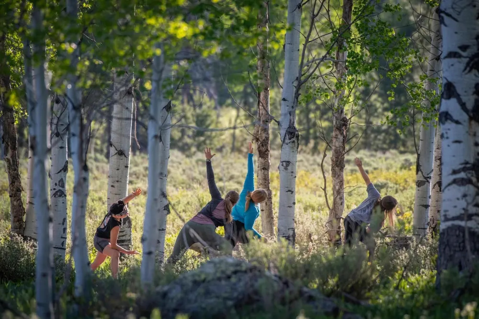 Vista Verde Ranch All-inclusive - Lodge Room