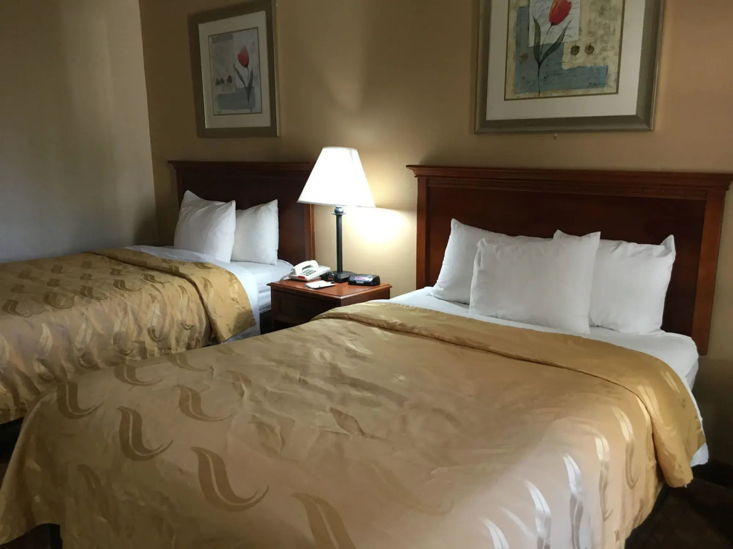 Quality Inn & Suites Hanes Mall