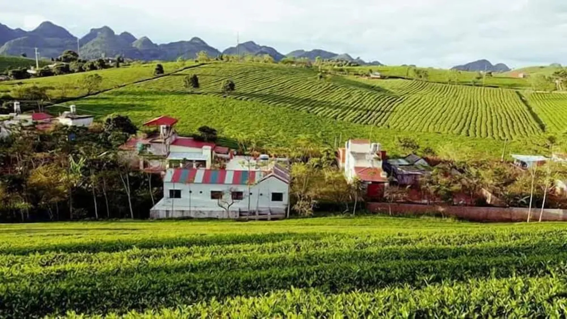 Homestay Làng Chè 69