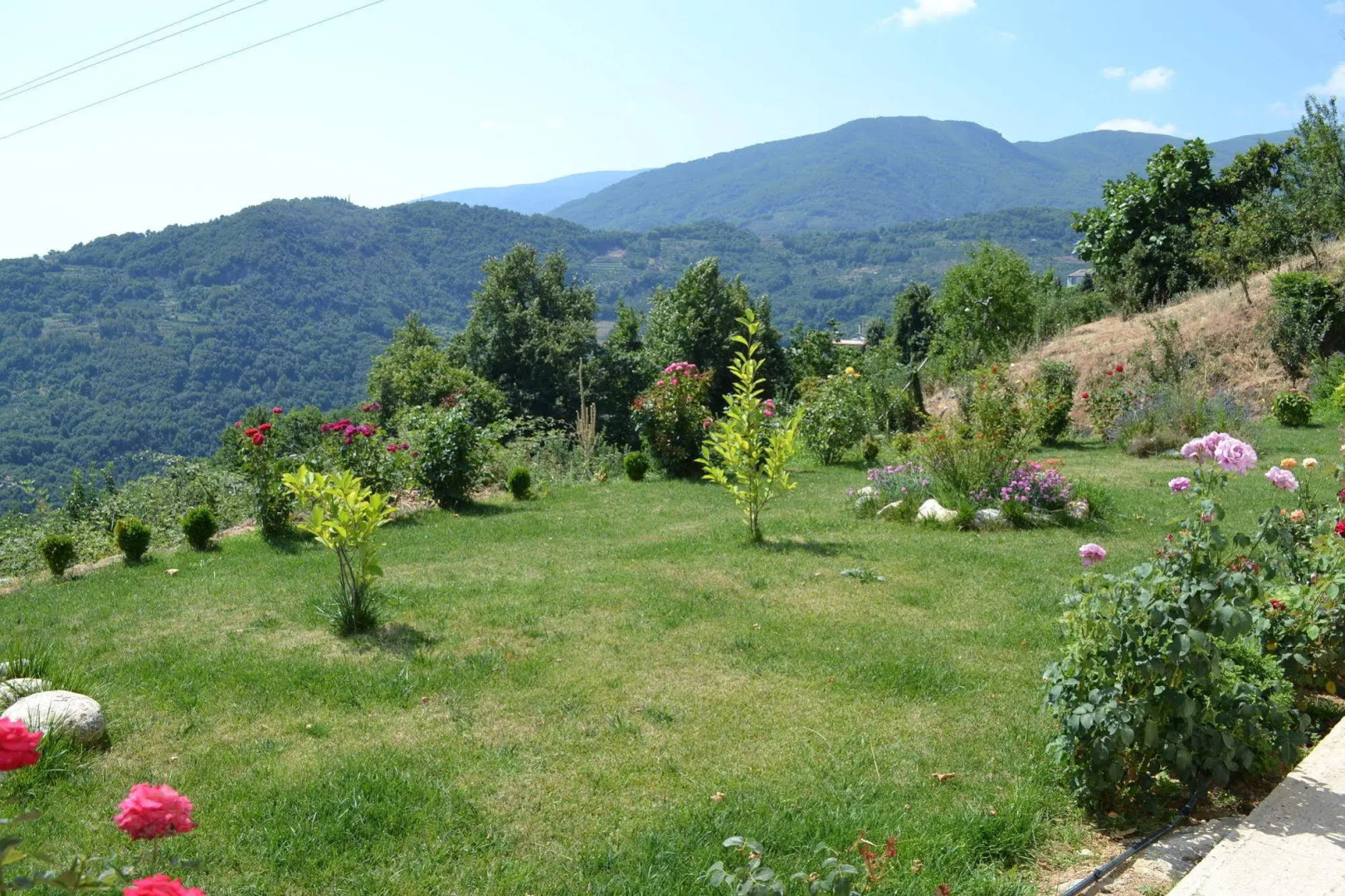 Guesthouse Kapaniaris