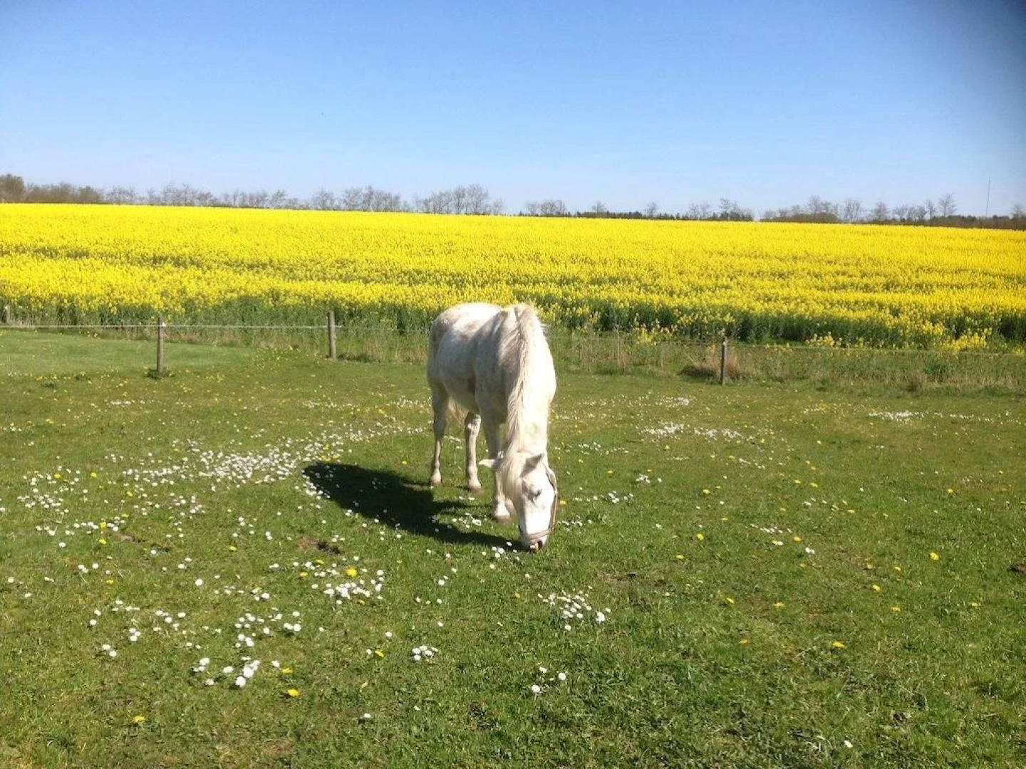 Øster Vaaen Bed & Breakfast
