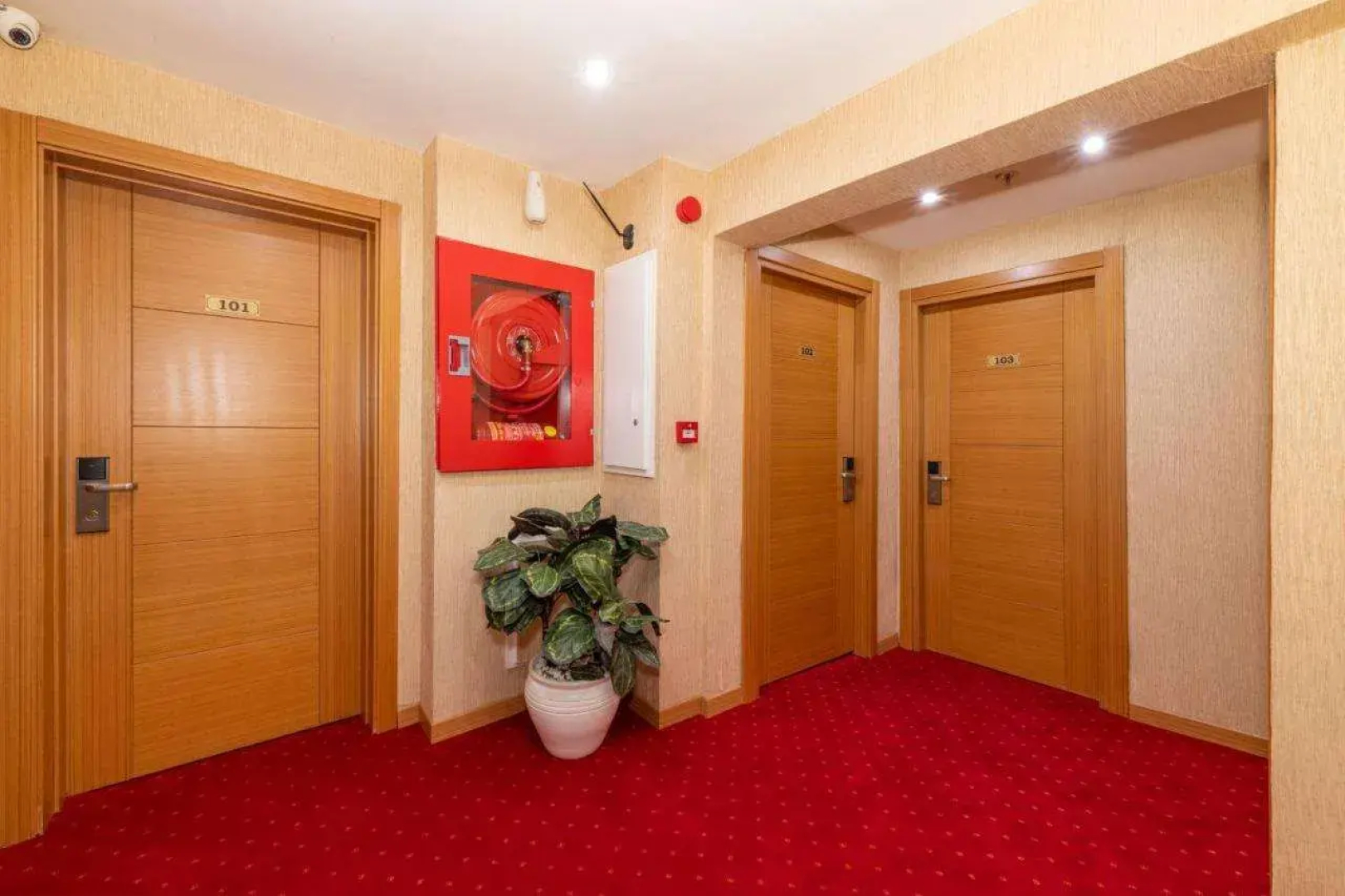 Regno Hotel