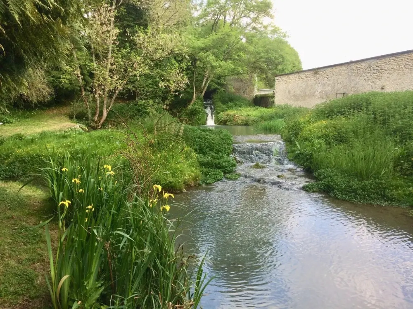 Le Château de Saint Bohaire