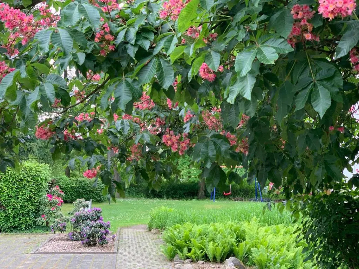 Hotel Luther Birke Wittenberg