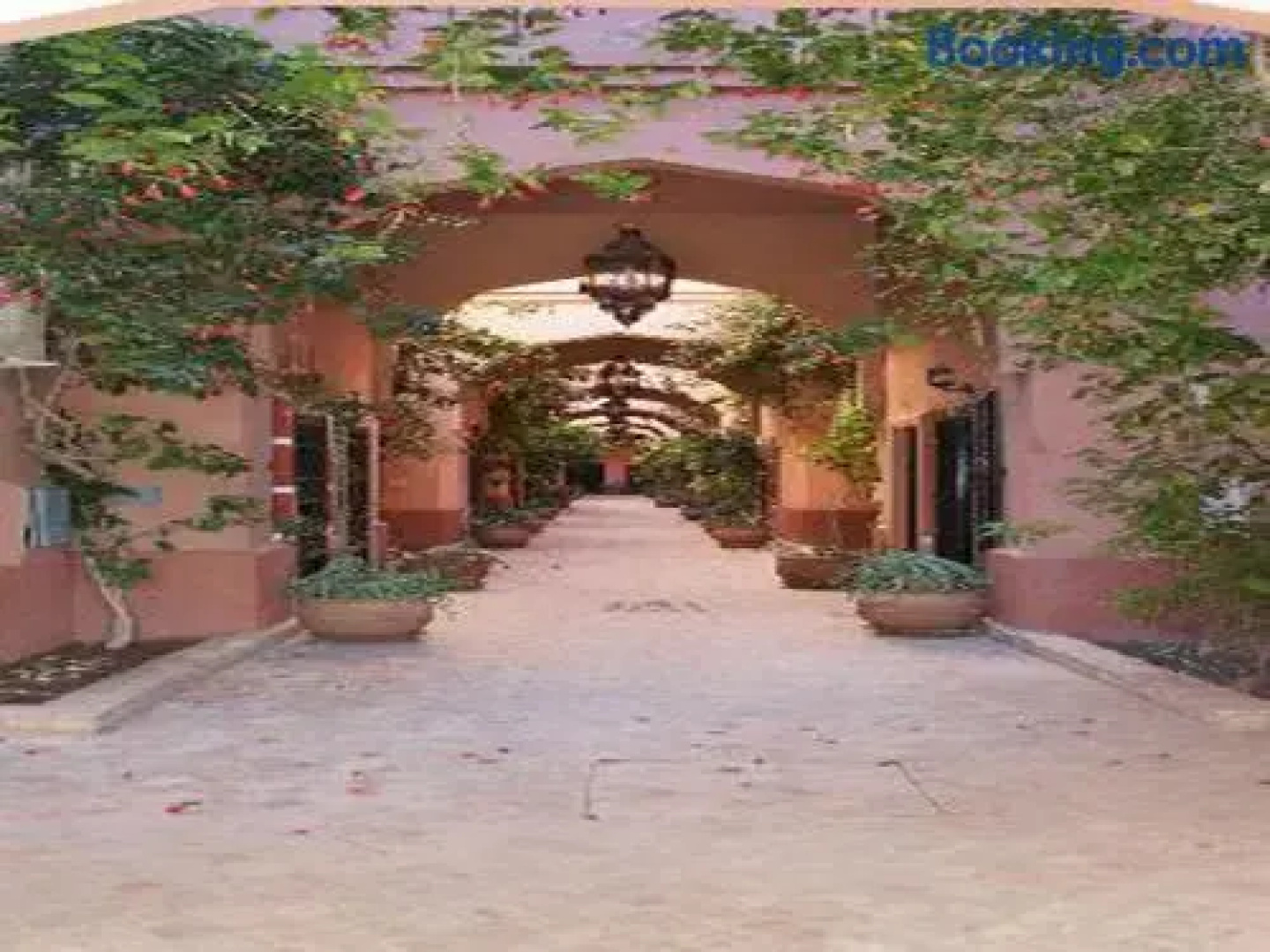 Riad Lalla Zahra