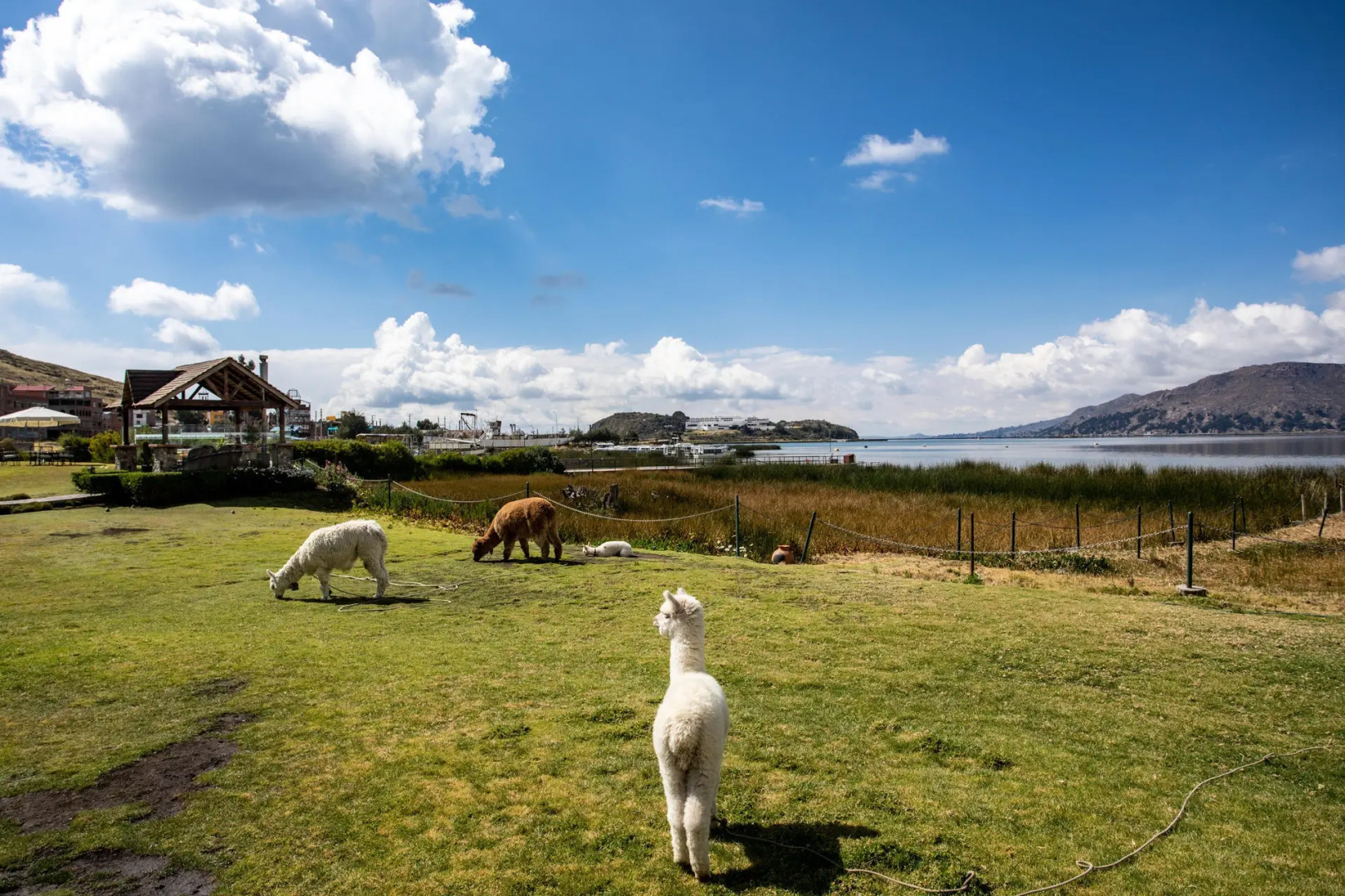 Sonesta Posadas del Inca Lake Titicaca - Puno