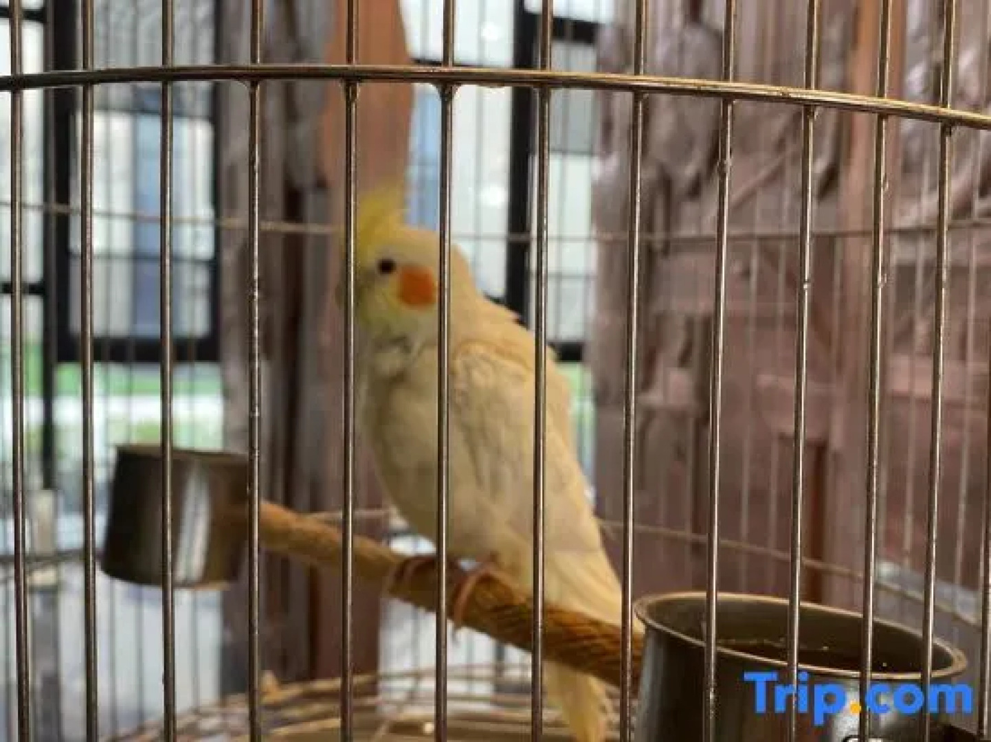 Liyang Shuixi Tianmuhu Hotel