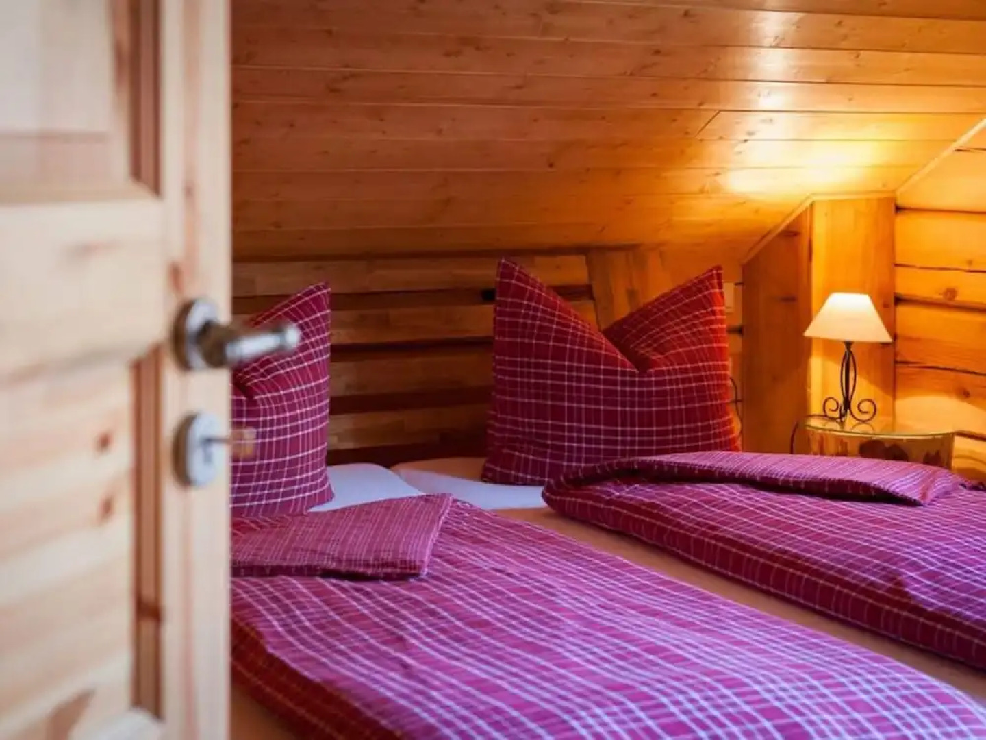 To Salamander No. 15a