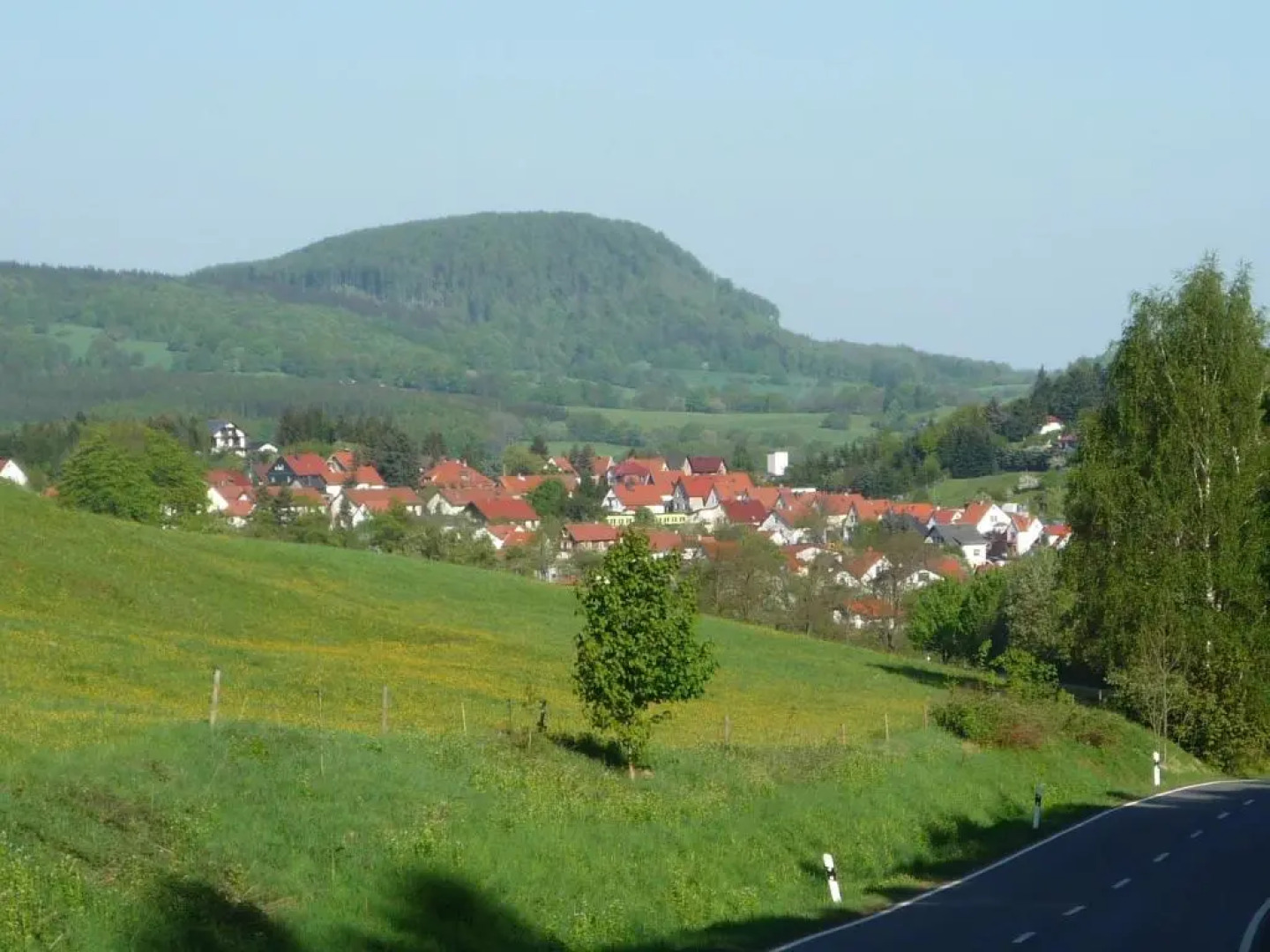 Waldblick - a10644