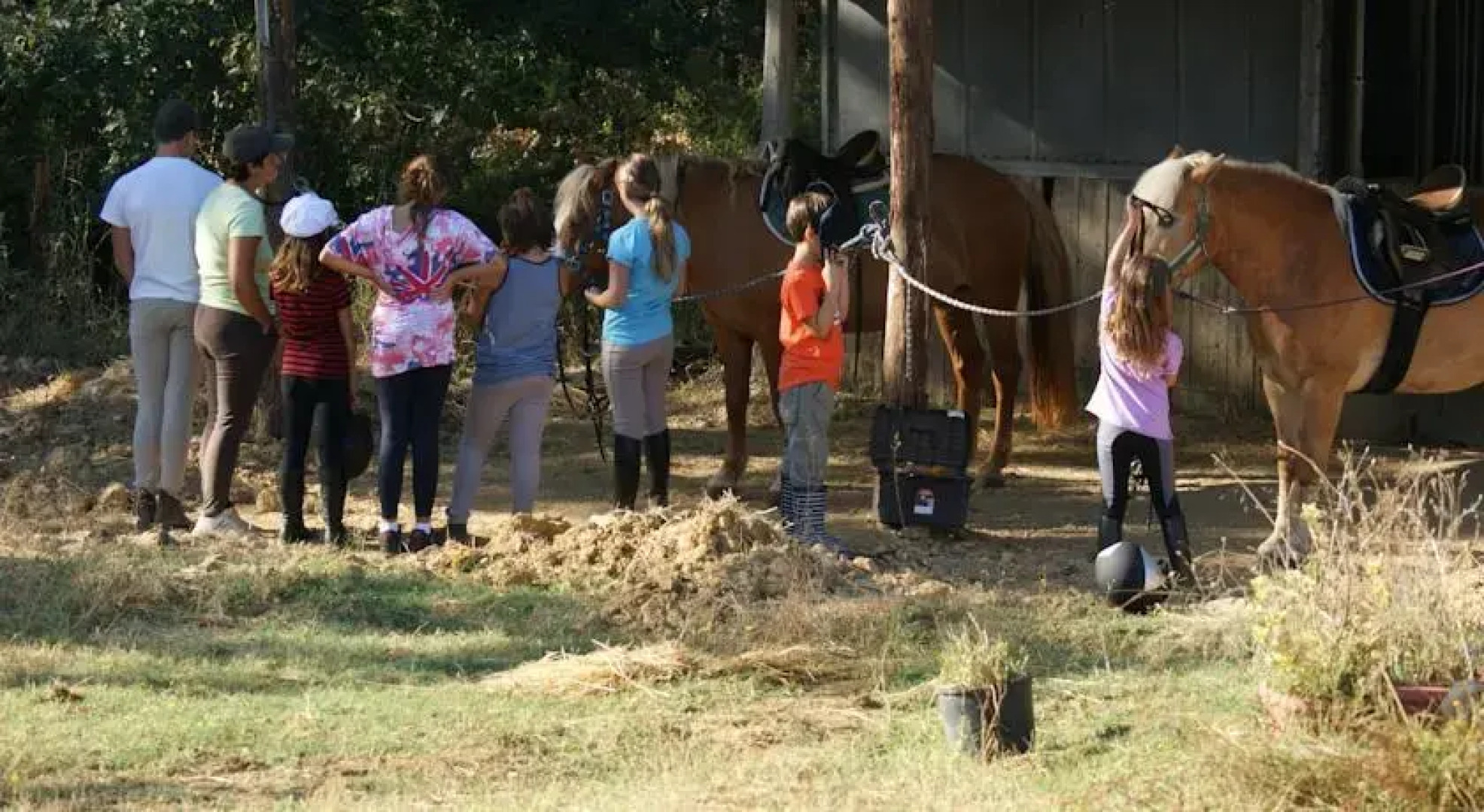 Farm Fattoria Le Planaie