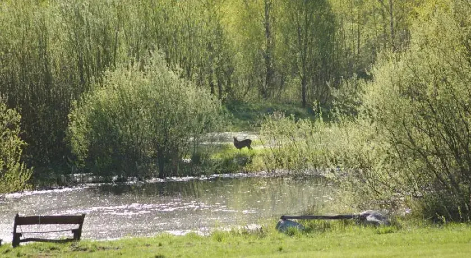 Puszcza Romincka