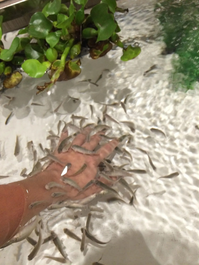 Resort Hills Toyohama SORA no KAZE