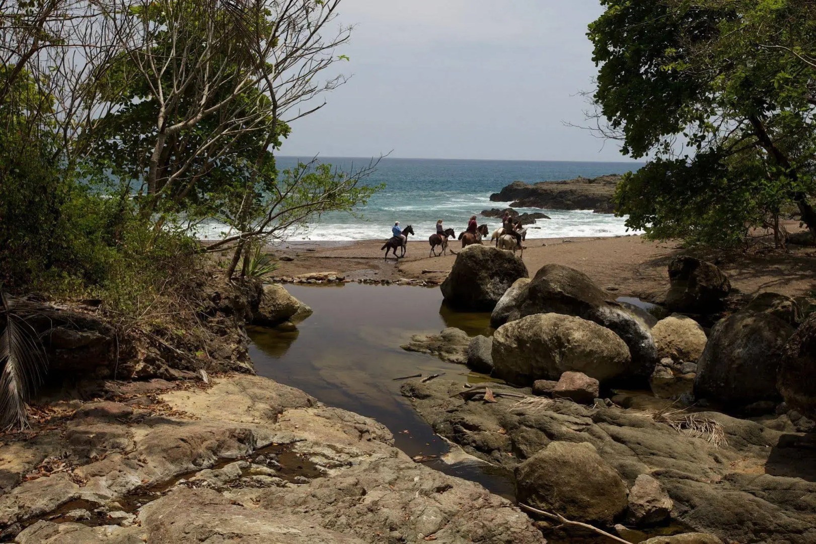 El Sano Banano Beachside Hotel