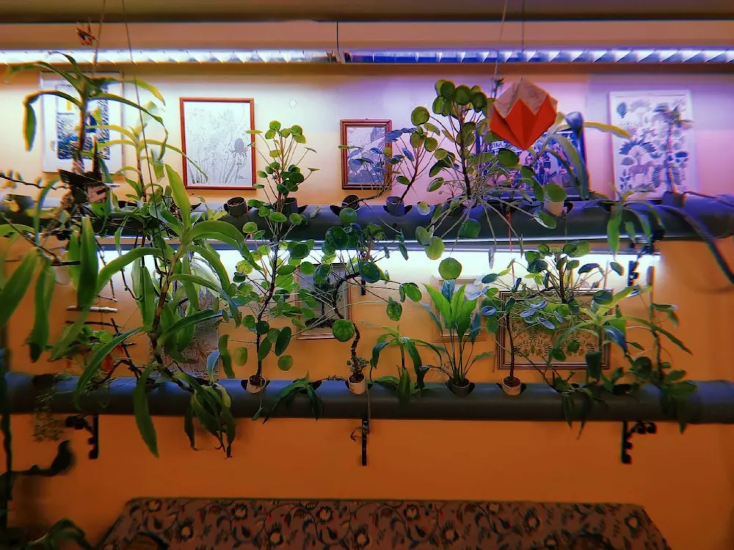 Хостел Looming