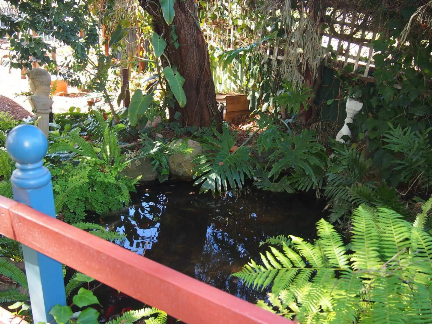 Anchorage Guest House and Self-contained Accommodation