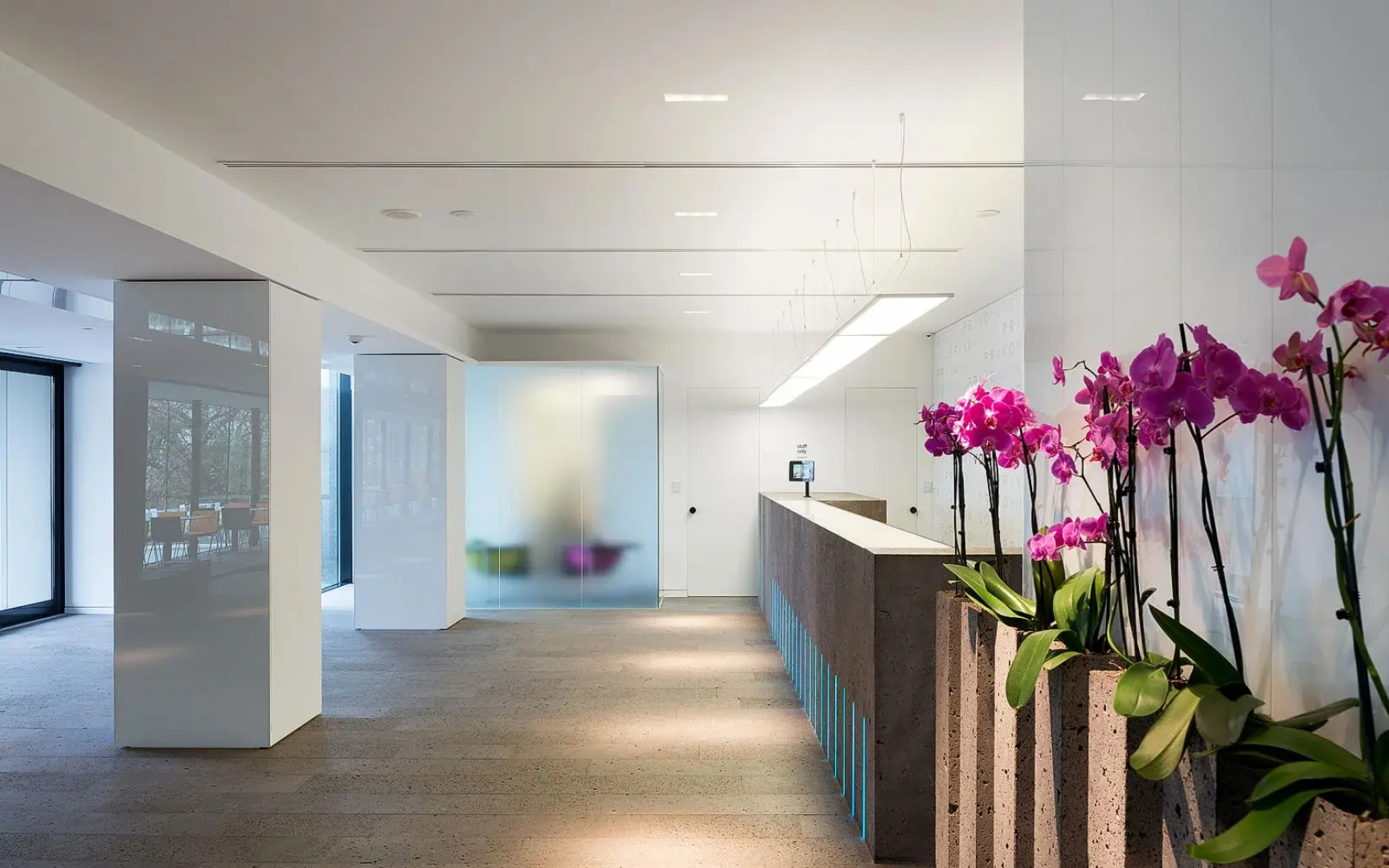 Hotel Privo