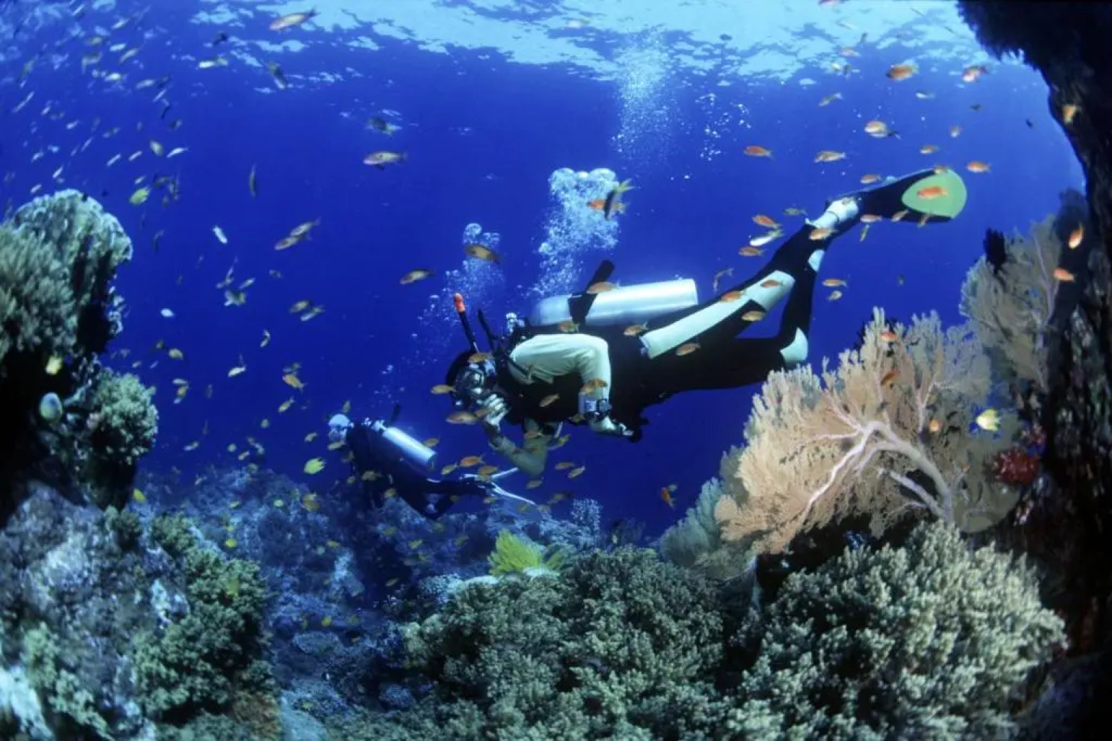 Apartments Ars Vivendi