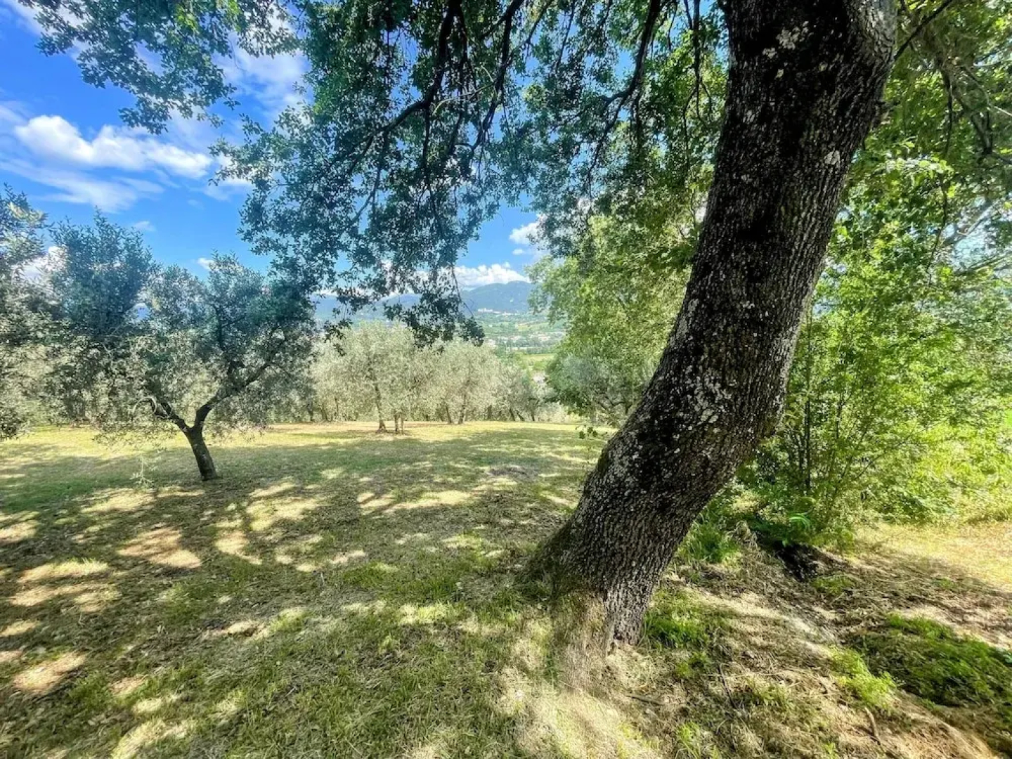 Spoleto Tranquilita Sleeps 20 With Wifi Pool Yoga Studio Gardens and Views
