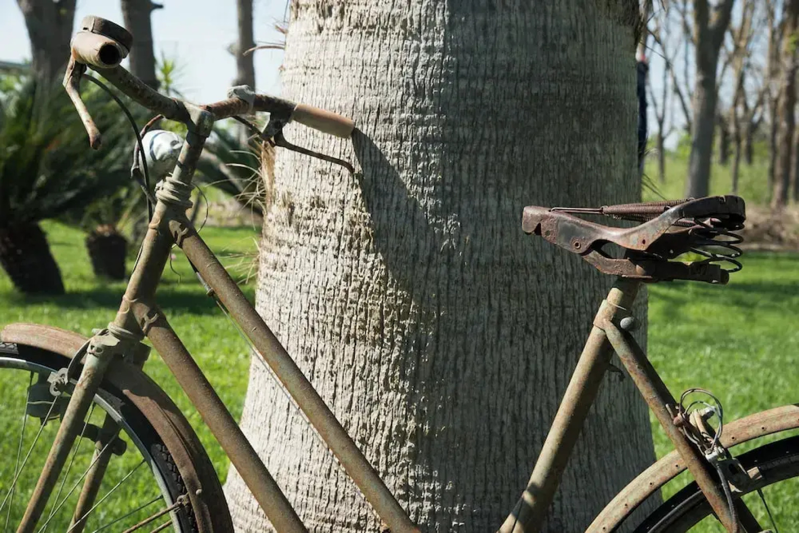 Dimora del Duca Masseria B&B