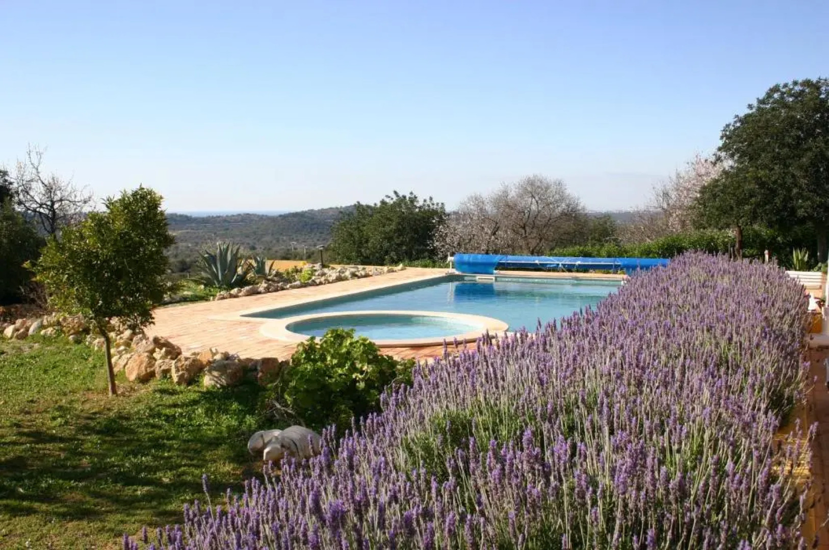 Casa Amarela by Portucasa