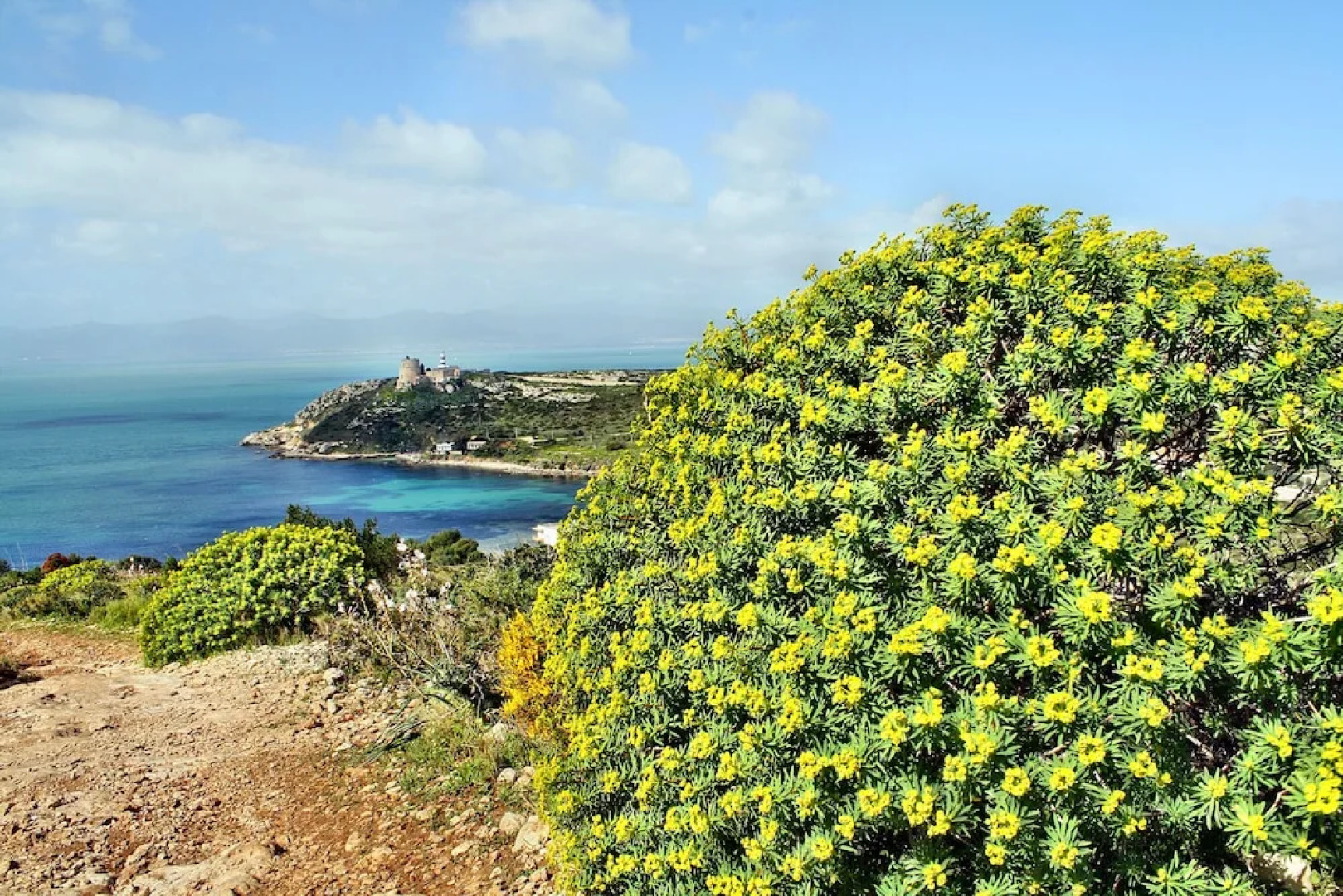 1 Ala Birdi Cottage Trilocale