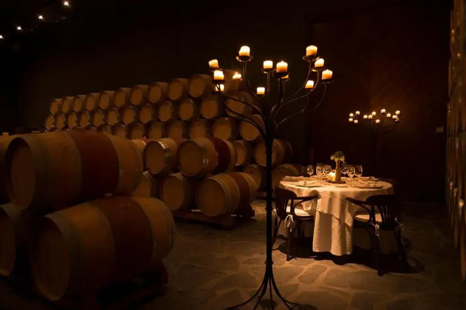 Chateau Pago De Cirsus