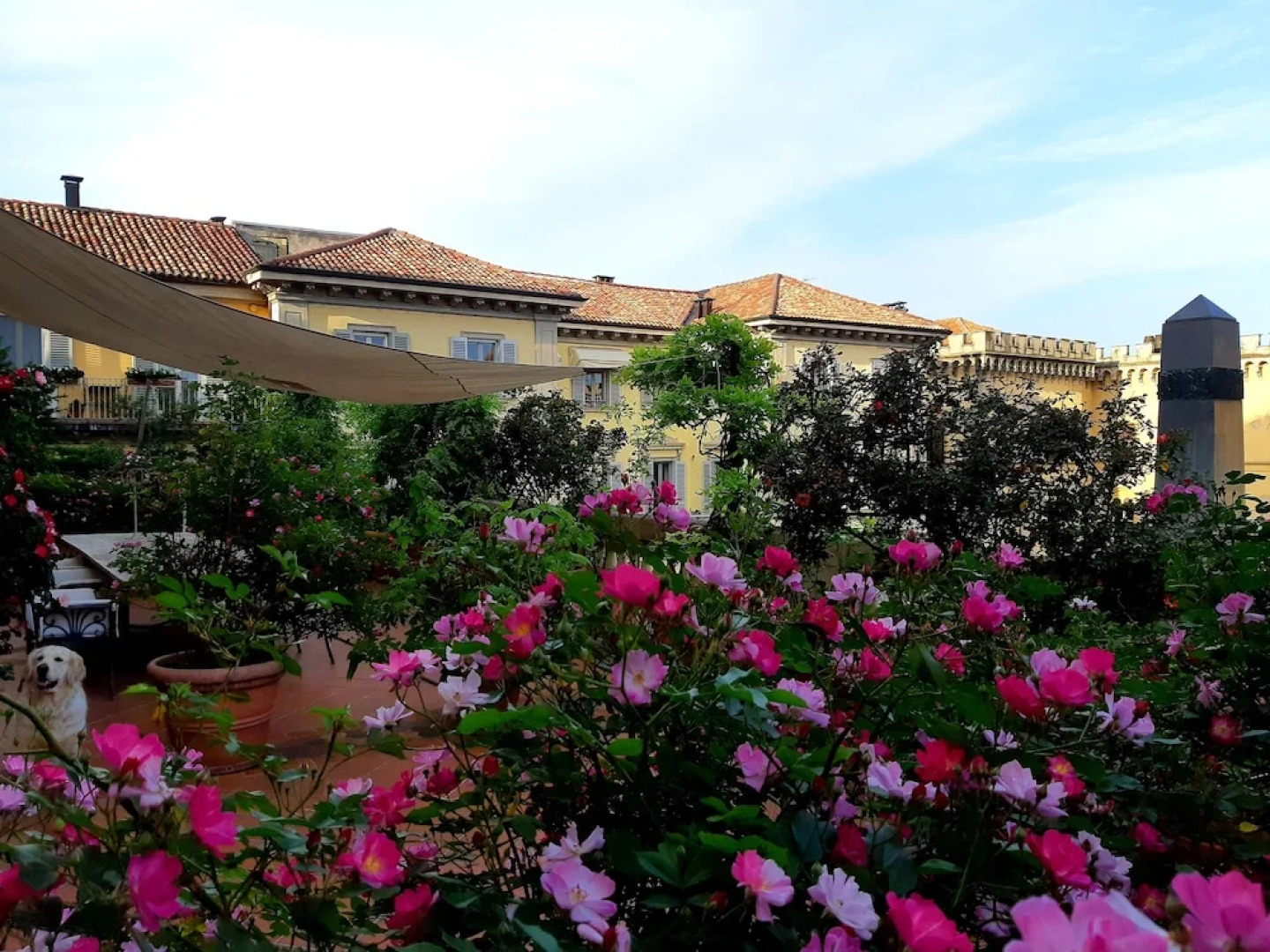 Arnaboldi Palace - Circolo