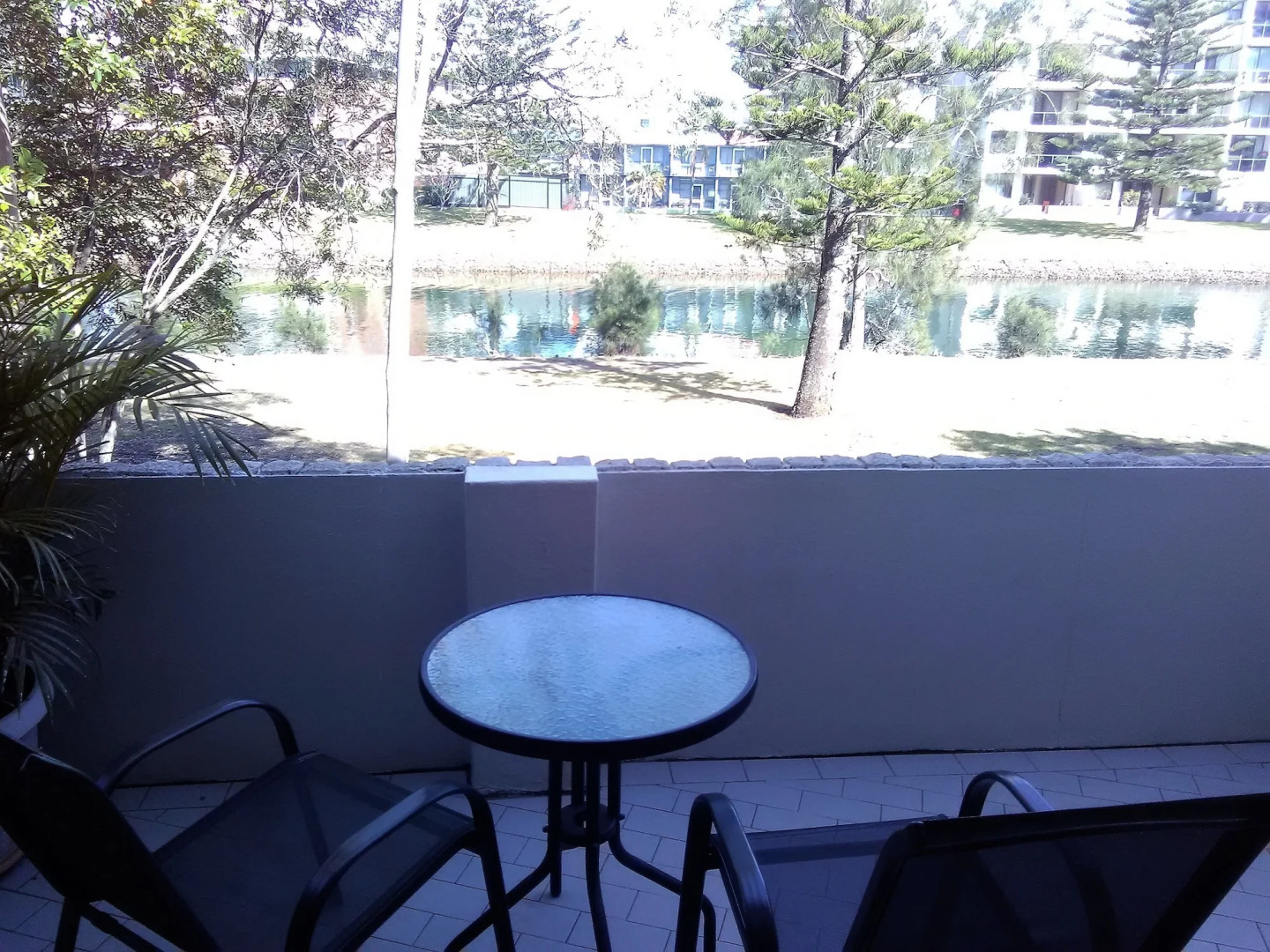 Palm Court Motor Inn